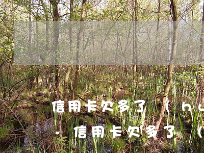 信用卡欠多了會(huì)影響花唄額度么-信用卡欠多了會(huì)影響花唄額度么嗎