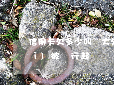 信用卡欠多少叫較大 欠信用卡多少會(huì)被銀行起訴