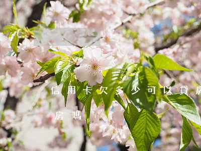 信用卡欠多少可以貸房貸(欠信用卡能貸款買房嗎)
