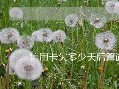 信用卡欠多少天后算逾期