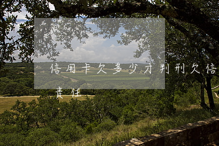 信用卡欠多少才判刑(欠信用卡多少钱是刑事责任)