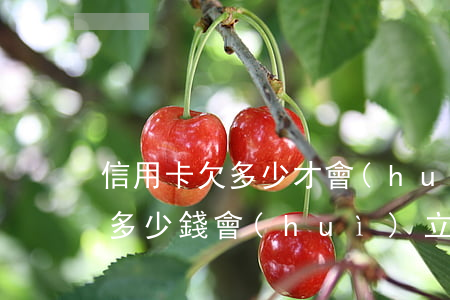 信用卡欠多少才會(huì)立案(欠信用卡多少錢會(huì)立案坐牢幾年)