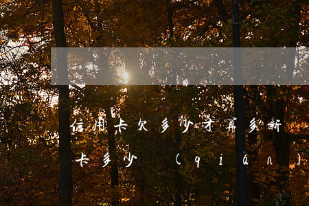 信用卡欠多少才算多(新規(guī)欠信用卡多少錢(qián)會(huì)坐牢)