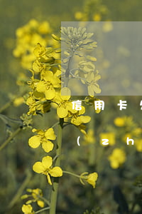 信用卡欠多少才算惡意(欠信用卡多少會被執(zhí)行)