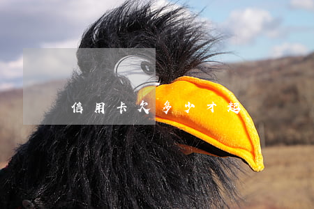 信用卡欠多少才起訴