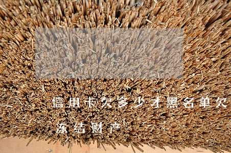 信用卡欠多少才黑名单 欠信用卡多少钱会被冻结财产