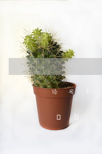 信用卡欠多少找家里(欠信用卡的錢一般多少錢會(huì)被起訴)