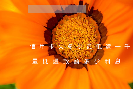 信用卡欠多少最低還一千五(信用卡1500最低還款額多少利息)