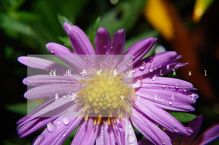 信用卡欠多少會(huì)被抓起(欠信用卡多少錢(qián)會(huì)被限制消費(fèi))
