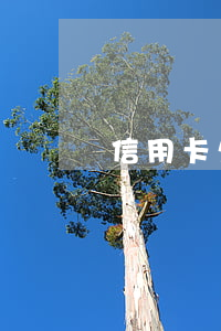 信用卡欠多少看哪里(怎么看信用卡欠款多少錢)