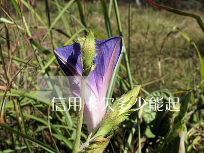 信用卡欠多少能起訴
