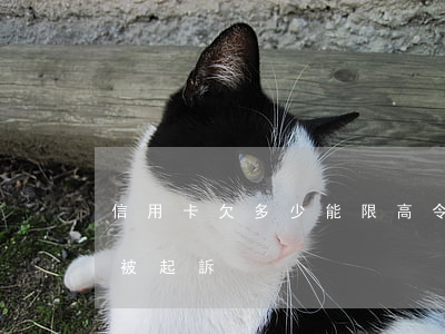 信用卡欠多少能限高令(欠信用卡額度多少會被起訴)