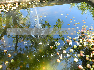 信用卡欠多少被判刑(欠信用卡多少錢(qián)入刑標(biāo)準(zhǔn))
