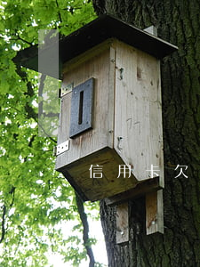 信用卡欠多少被立案(欠信用卡多少會起訴)