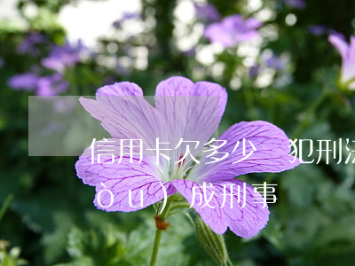 信用卡欠多少觸犯刑法(欠信用卡多少構(gòu)成刑事)
