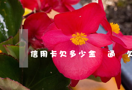 信用卡欠多少金額通緝 欠信用卡多少會拘留
