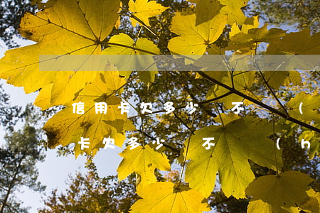 信用卡欠多少錢不還會(huì)起訴(信用卡欠多少錢不還會(huì)起訴)