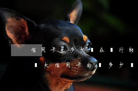 信用卡欠多少錢在銀行能查出來(lái)嗎 欠信用卡的錢多少會(huì)被定為詐騙