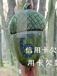 信用卡欠多少錢會(huì)被起訴坐牢(信用卡欠款多少錢會(huì)被起訴坐牢)