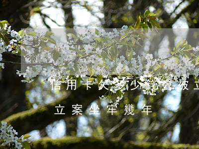 信用卡欠多少錢會被立案(欠信用卡多少錢會立案坐牢幾年)