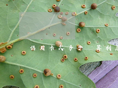 信用卡欠多少錢算利息