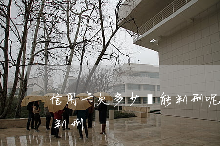 信用卡欠多少錢能判刑呢（信用卡欠多少錢能判刑）