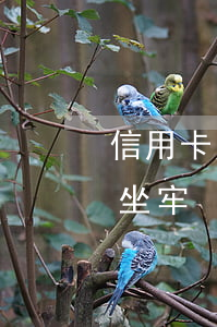 信用卡欠多少钱会坐(欠信用卡多少钱以上会坐牢)