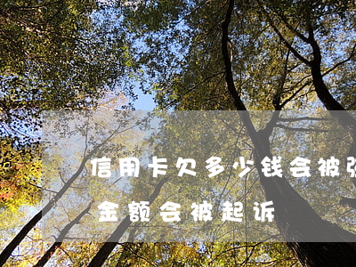 信用卡欠多少钱会被强制执行(欠信用卡多少金额会被起诉)