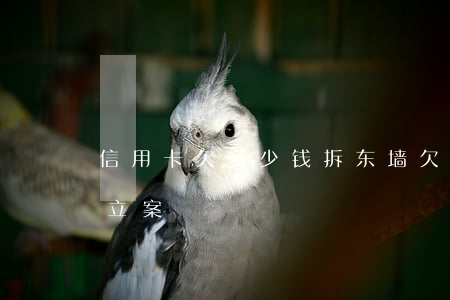 信用卡欠多少钱拆东墙(欠信用卡多少钱可以立案)