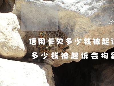 信用卡欠多少钱被起诉会拘留吗-信用卡欠多少钱被起诉会拘留吗知乎
