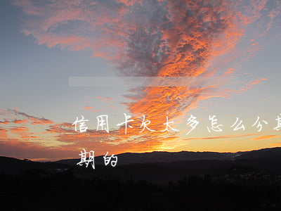 信用卡欠太多怎么分期(信用卡欠太多怎么分期的)