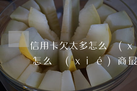 信用卡欠太多怎么協(xié)商(欠信用卡怎么協(xié)商最好)