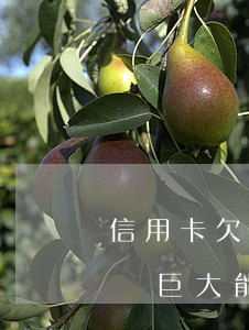 信用卡欠太多 怎么辦(欠信用卡數(shù)額巨大能判幾年)