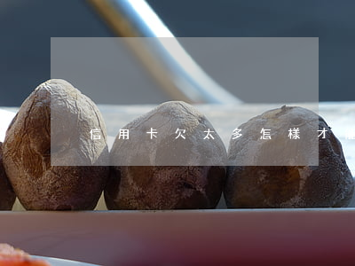信用卡欠太多怎樣才能停息還款-