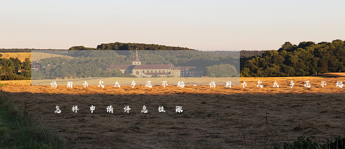 信用卡欠太多还不起-信用卡欠太多还不起怎样申请停息挂账
