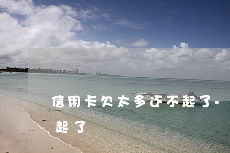 信用卡欠太多还不起了-信用卡欠太多还不起了