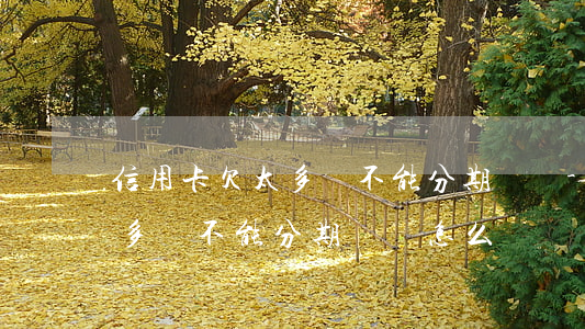 信用卡欠太多錢不能分期還嗎-信用卡欠太多錢不能分期還嗎怎么辦