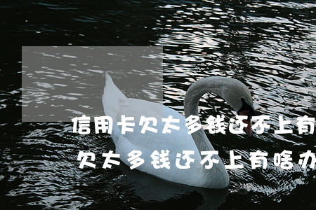 信用卡欠太多钱还不上有啥办法吗-信用卡欠太多钱还不上有啥办法吗