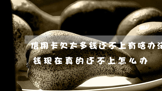 信用卡欠太多钱还不上有啥办法(欠信用卡的钱现在真的还不上怎么办)