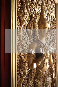 信用卡欠小貸怎么辦(欠好多信用卡我該怎么辦)