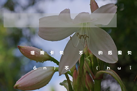信用卡欠帳不還的后果(欠信用卡的錢(qián)不還會(huì)造成什么后果)