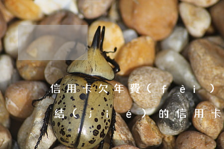 信用卡欠年費(fèi) 凍結(jié)(凍結(jié)的信用卡不還會(huì)怎么樣)
