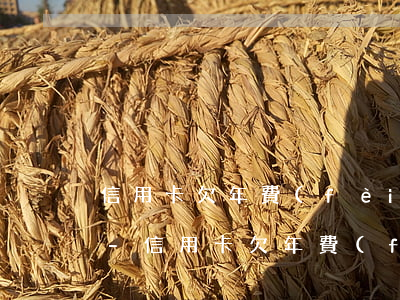 信用卡欠年費(fèi)嚴(yán)重嗎-信用卡欠年費(fèi)嚴(yán)重嗎怎么還款