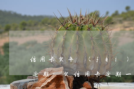 信用卡欠年費(fèi)產(chǎn)生逾期-欠信用卡逾期一年