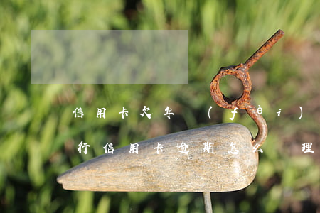 信用卡欠年費(fèi)逾期怎么解決(欠銀行信用卡逾期怎么處理)