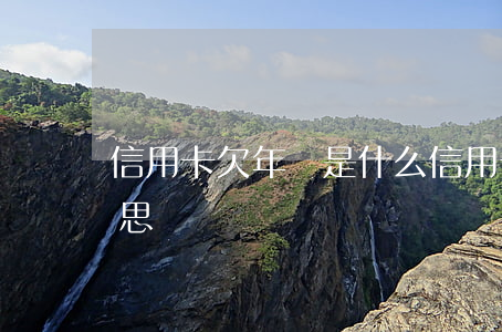 信用卡欠年費是什么(信用卡欠年費是什么意思)