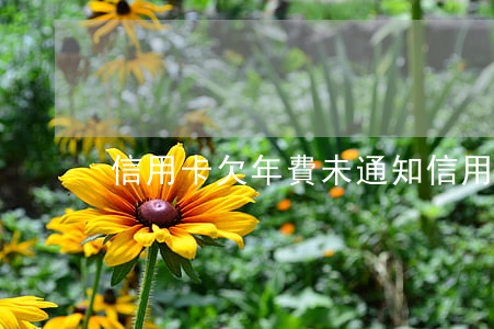 信用卡欠年費未通知 信用卡 欠年費