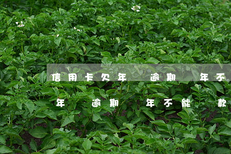 信用卡欠年費逾期幾年不能貨款-信用卡欠年費逾期幾年不能貨款還款