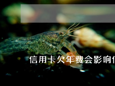 信用卡欠年费会影响（信用卡欠年费会影响）