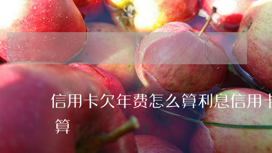 信用卡欠年费怎么算利息（信用卡欠年费怎么算?）